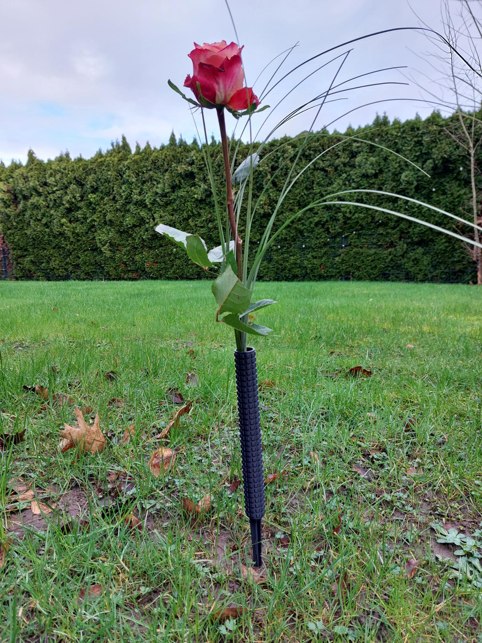 Blumentopf mit Efeupflanze.